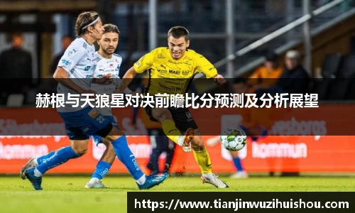 赫根与天狼星对决前瞻比分预测及分析展望